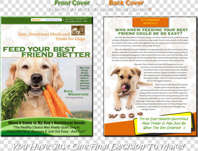 Transparent Dog Tail Png   Companion Dog  Png DownloadTransparent PNG