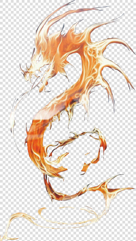  fire  fuego  dragon  power  poder  flame  flames  flamas   Illustration  HD Png DownloadTransparent PNG