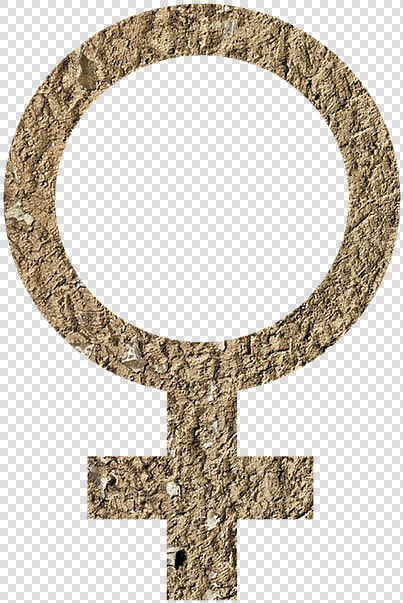 Thumb Image   Difference Between Male And Female Frog  HD Png DownloadTransparent PNG