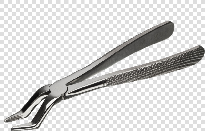 Image For Ash Forceps No   Upper Wisdom Tooth Forceps  HD Png DownloadTransparent PNG