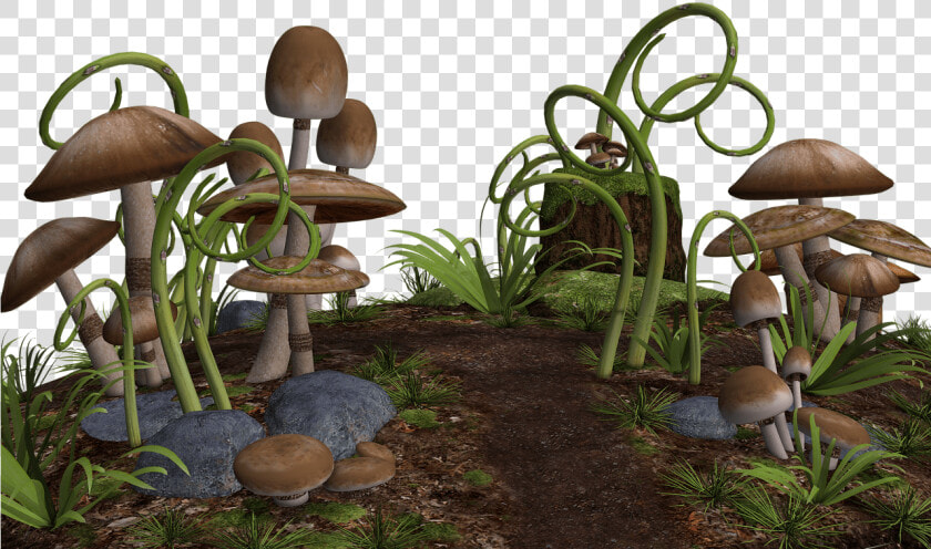 Mushrooms Along Path   Fantasy Mushrooms Png  Transparent PngTransparent PNG