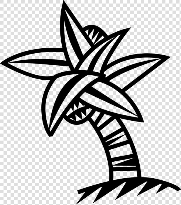 Vector Illustration Of Arecaceae Palm Tree With Coconuts   Palm Trees  HD Png DownloadTransparent PNG
