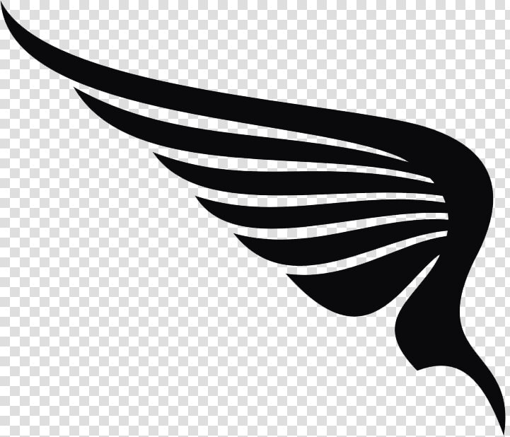 Vector Wings Clipart Clip Art   Guardian Angel Vapor Co  HD Png DownloadTransparent PNG
