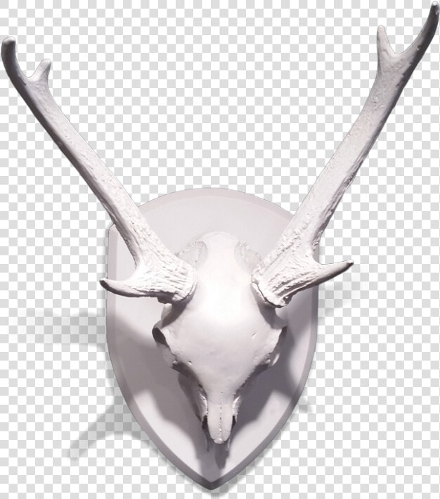Gold Leaf Design Group Mule Deer Skull With Antlers   Deer  HD Png DownloadTransparent PNG