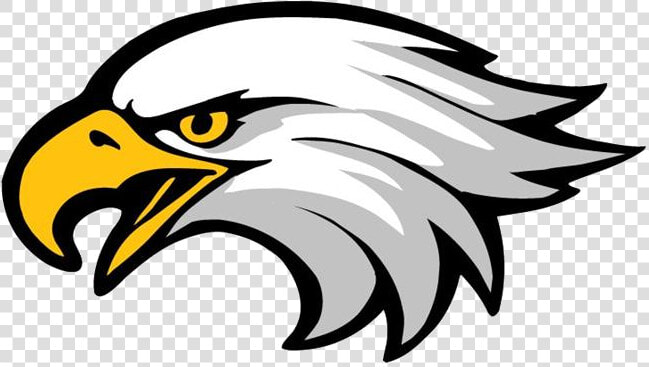 Eagle Clipart Free Best On Transparent Png   Clip Art Eagle Head  Png DownloadTransparent PNG