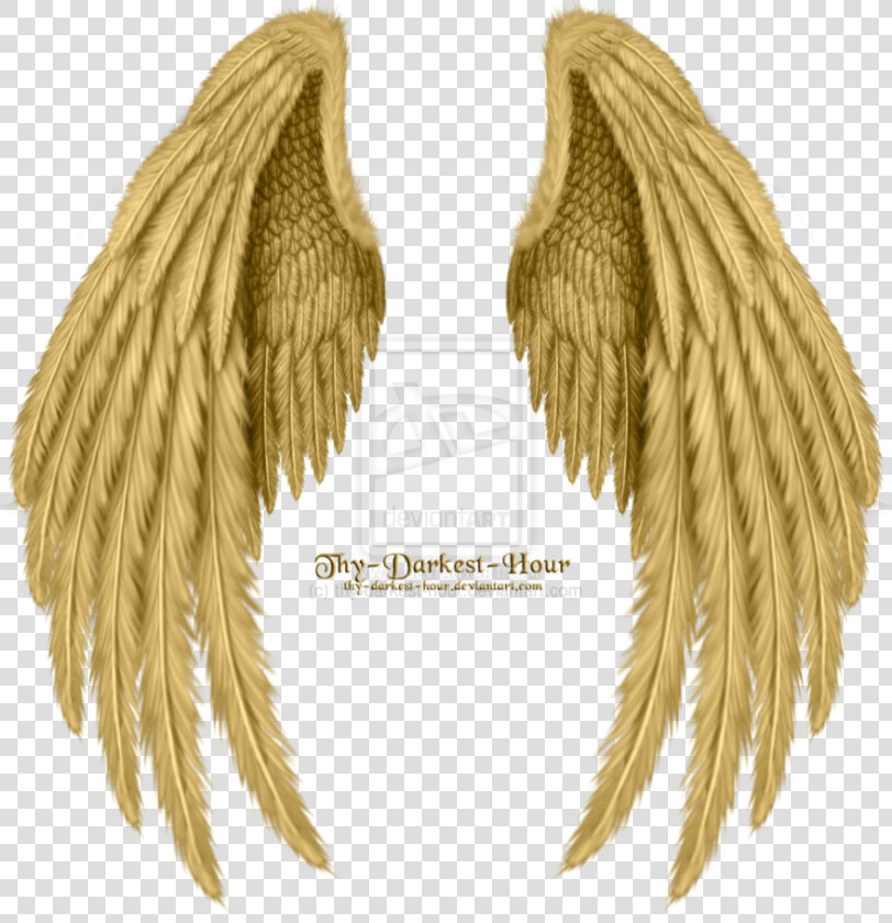 Transparent Angel Wings Png   Realistic Angel Wings Drawing  Png DownloadTransparent PNG