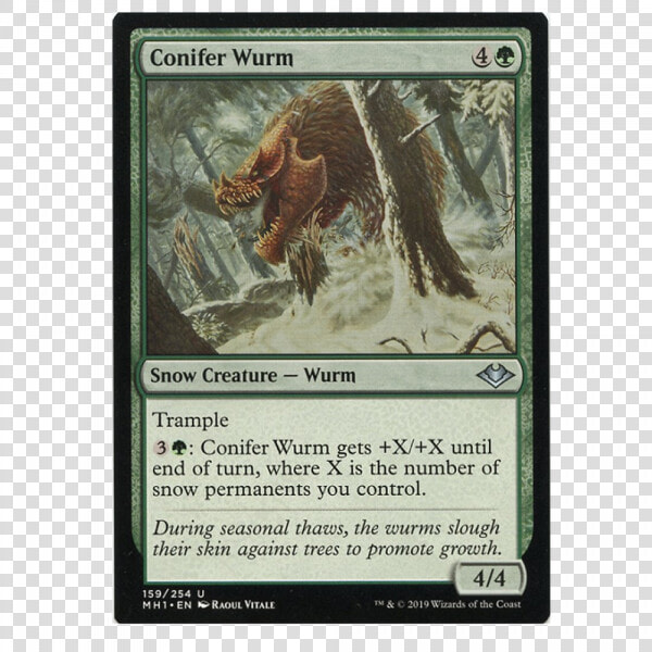 Conifer Wurm  HD Png DownloadTransparent PNG