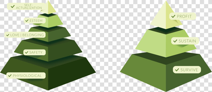 Maslows And Business Goals Pyramids   Christmas Tree  HD Png DownloadTransparent PNG