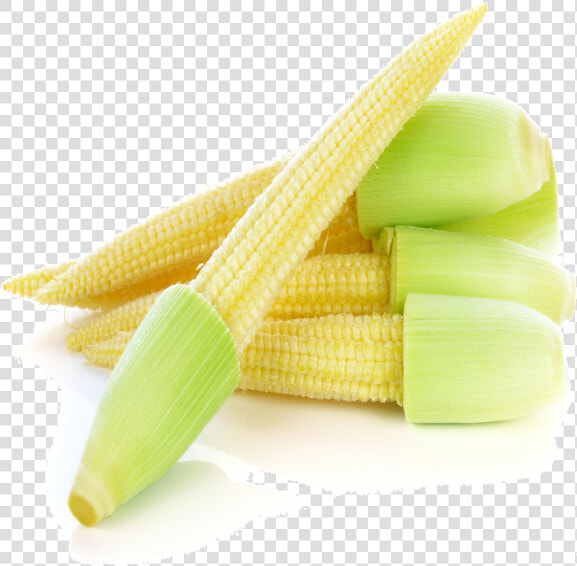 Corn Kernels  HD Png DownloadTransparent PNG