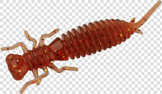 Larva Png  Transparent PngTransparent PNG