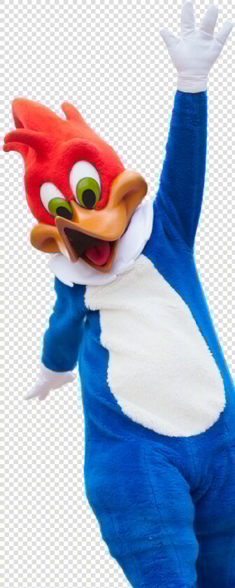 Transparent Woody Woodpecker Png   Woody The Woodpecker Toys  Png DownloadTransparent PNG
