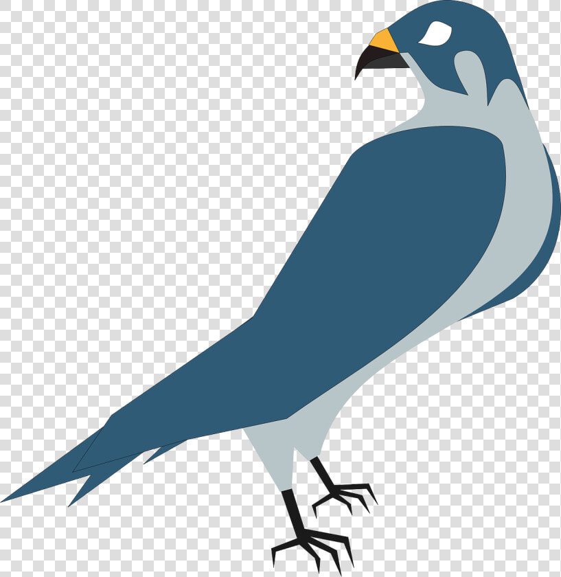 Falcão  Hawk   Animated Pictures Of Hawks  HD Png DownloadTransparent PNG