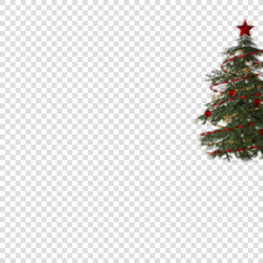 Decorated Christmas Tree Png Transparent  Png DownloadTransparent PNG