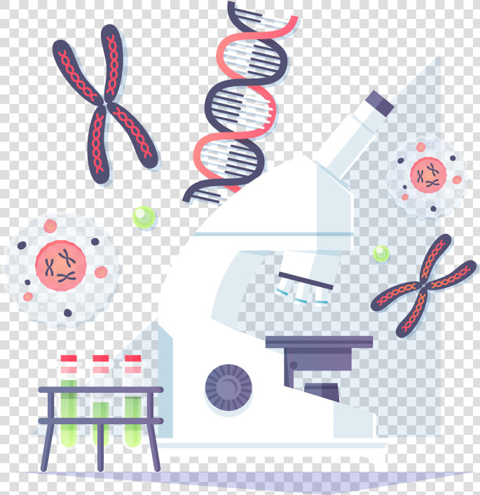 Molecular Structure Transparent Background   Clip Art  HD Png DownloadTransparent PNG