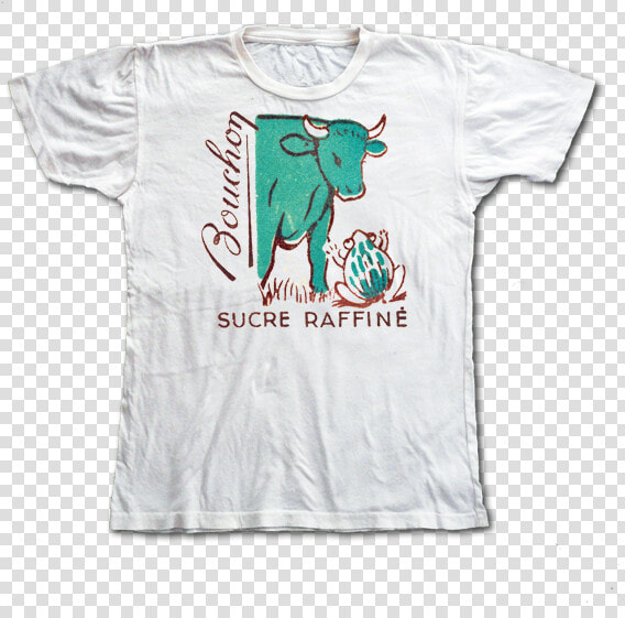 Img 0231   Active Shirt  HD Png DownloadTransparent PNG