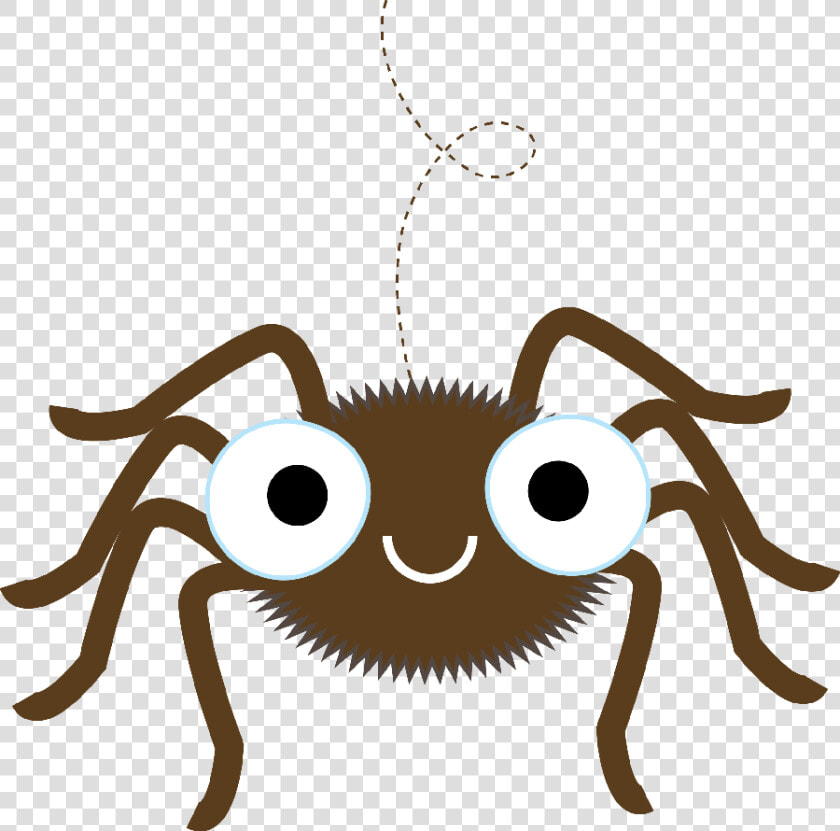 Spider Clipart Insects  HD Png DownloadTransparent PNG