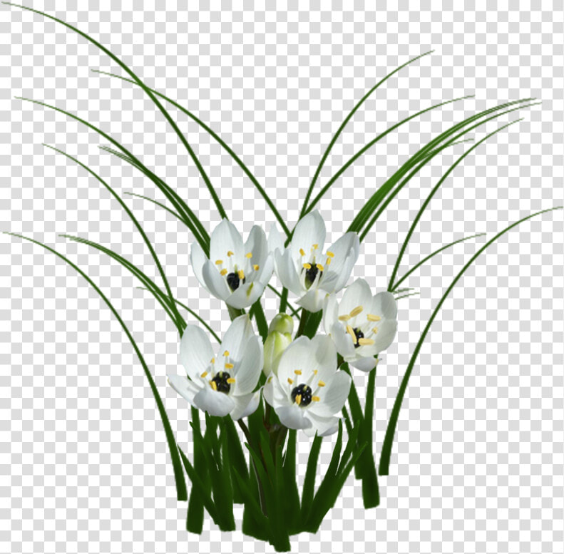 Com Sorted  Flowers Texture   Flower Texture Png  Transparent PngTransparent PNG