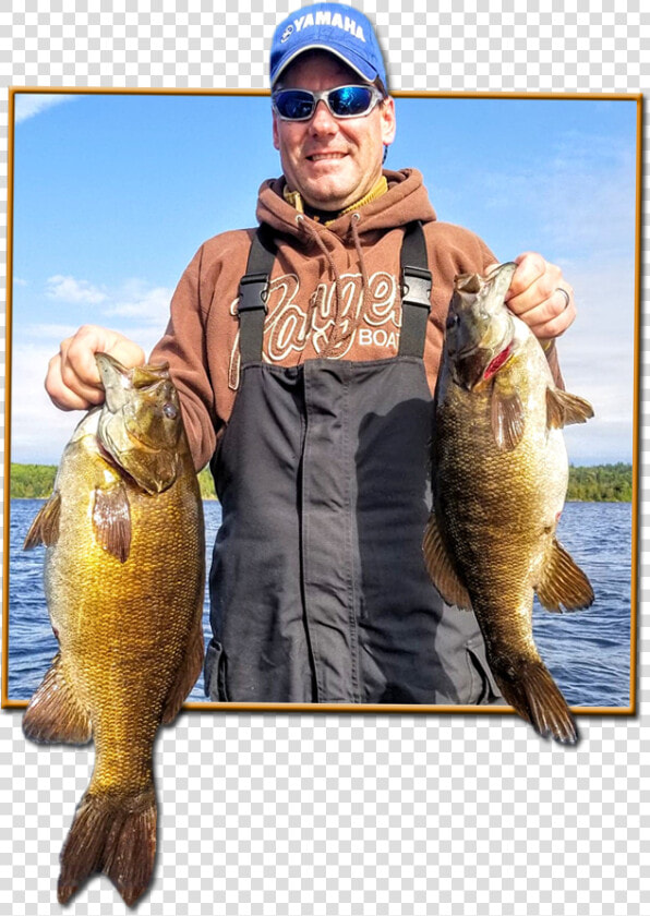 Smallmouth Bass   Jigging  HD Png DownloadTransparent PNG