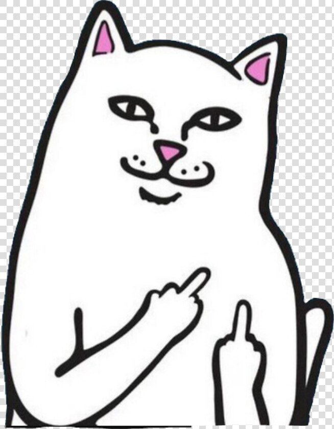 Mob Grip Rip N Dip Nermal Grip Tape   Fuck You Cat Meme  HD Png DownloadTransparent PNG