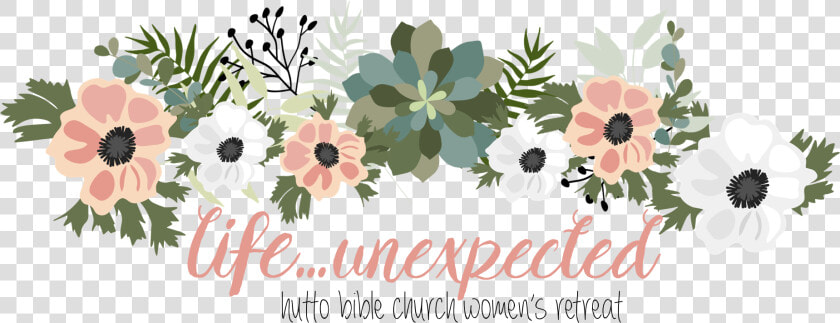 Transparent Floral Header Png   African Daisy  Png DownloadTransparent PNG