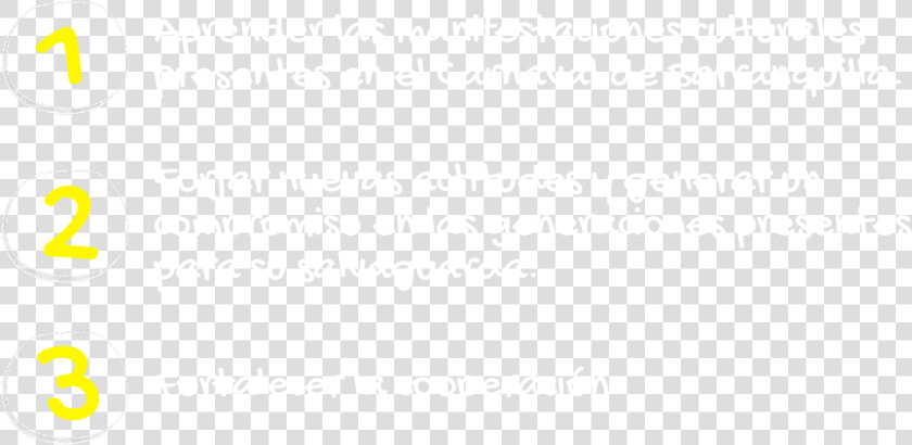 Colorfulness  HD Png DownloadTransparent PNG
