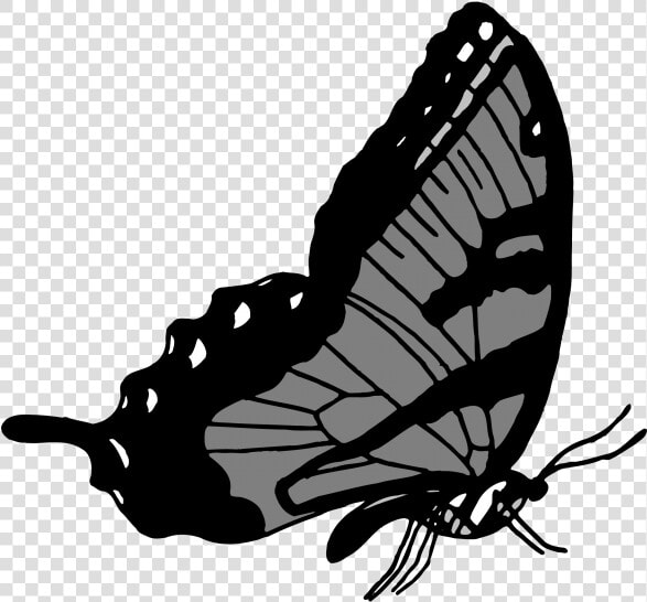 Transparent Flying Butterflies Png   Papilio Machaon  Png DownloadTransparent PNG
