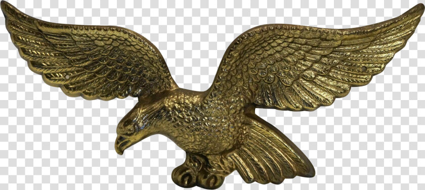 Top Images For American Brass Eagle Plaque On Picsunday   Red tailed Hawk  HD Png DownloadTransparent PNG