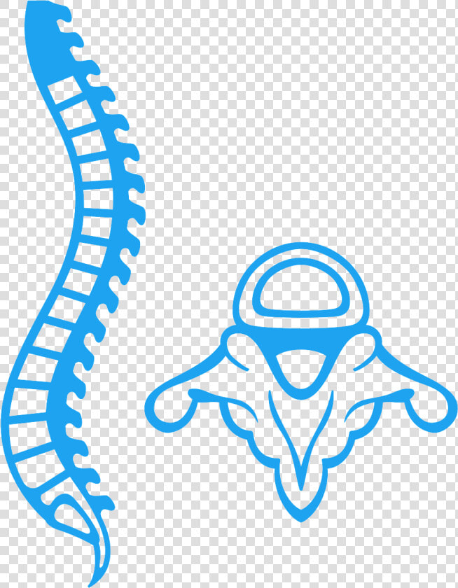 Chiropractor Sandton Spine   Medula Vector Png  Transparent PngTransparent PNG