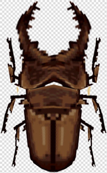 Download Zip Archive   D amp d Beholder Png  Transparent PngTransparent PNG