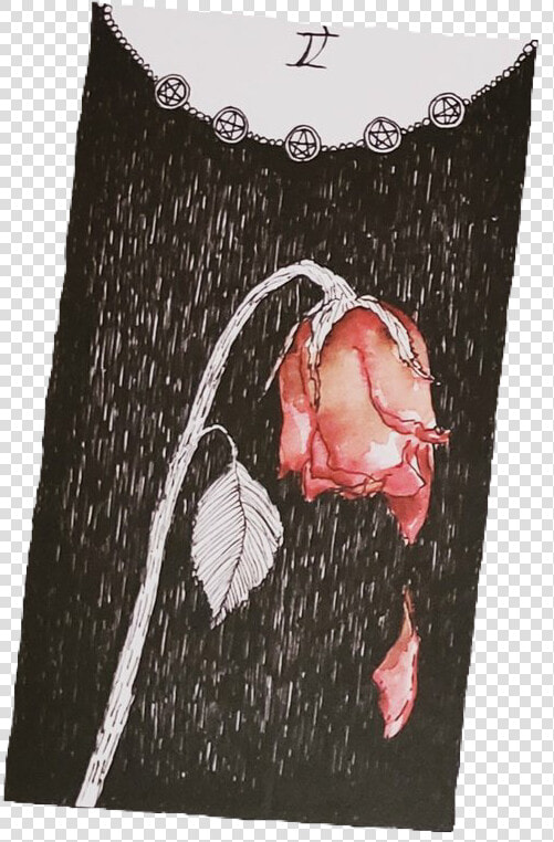  wiltedrose  rose  tarotcard  pngs  png  lovely Pngs   Tarot Cards Aesthetic Art  Transparent PngTransparent PNG