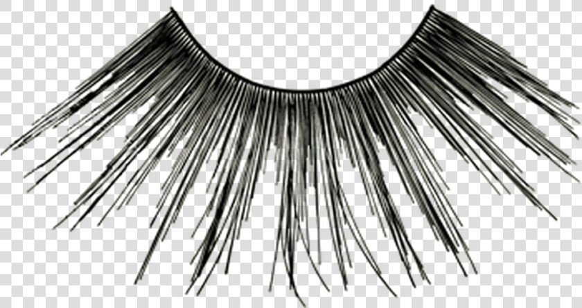 Kryolan Eyelash  HD Png DownloadTransparent PNG