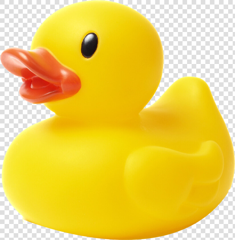 Rubber Duck Stock Photography Natural Rubber Stock   Transparent Background Rubber Ducky Png  Png DownloadTransparent PNG