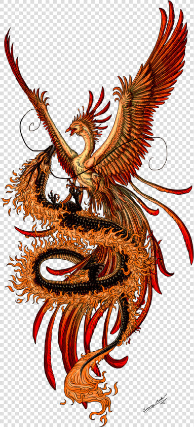 Dragon Tattoo Transparent Background Png   Phoenix And Dragon Tattoo  Png DownloadTransparent PNG