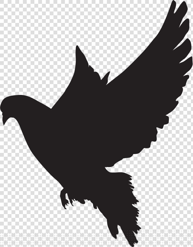Dove Silhouette Png Clip Art Imageu200b Gallery Yopriceville  Transparent PngTransparent PNG