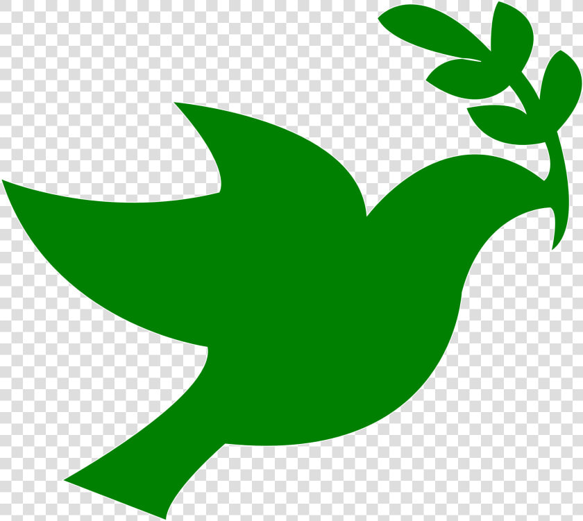 Vector Bird Dove   Peace Dove Green  HD Png DownloadTransparent PNG