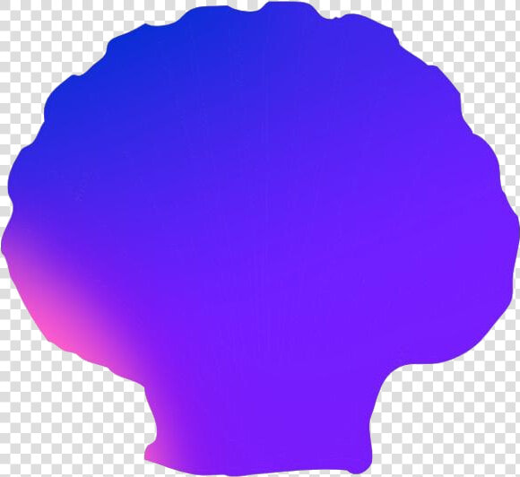 Transparent Scallop Shell Art  Scallop Shell Png Pic  Png DownloadTransparent PNG