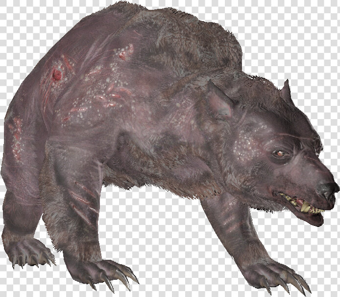 Encyaoguai04   Dog Yawns  HD Png DownloadTransparent PNG