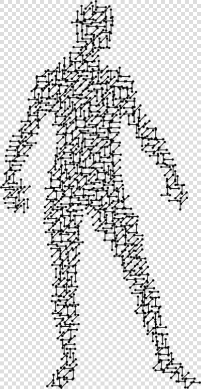 Molecular Biology Drawing  HD Png DownloadTransparent PNG