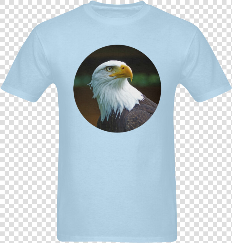 Transparent Bald Eagle Head Png   Bald Eagle  Png DownloadTransparent PNG