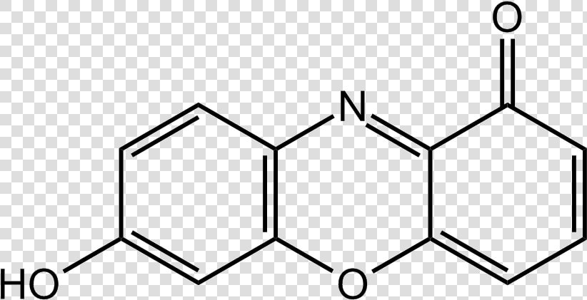 Neutral 7 hydroxyphenoxazone   4 Propyl Benzaldehyde  HD Png DownloadTransparent PNG
