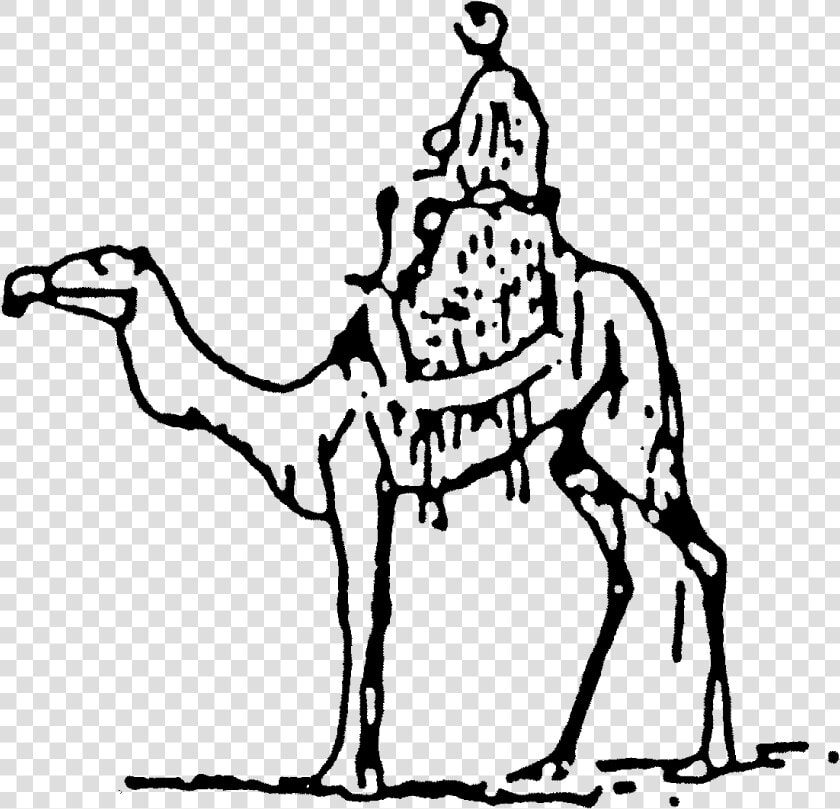Cart Drawing Camel   Camel With Rider Line Art  HD Png DownloadTransparent PNG