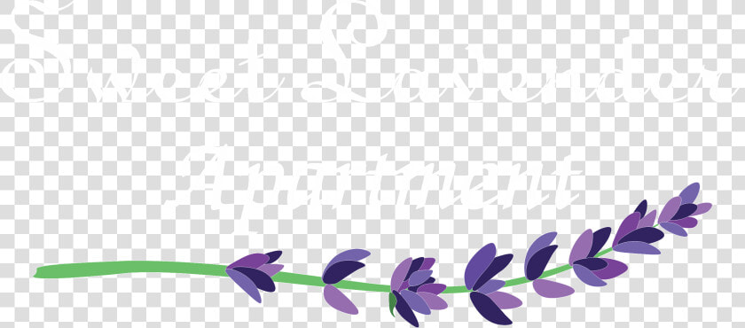 Sweet Lavender Mini Apartment   Wisteria  HD Png DownloadTransparent PNG