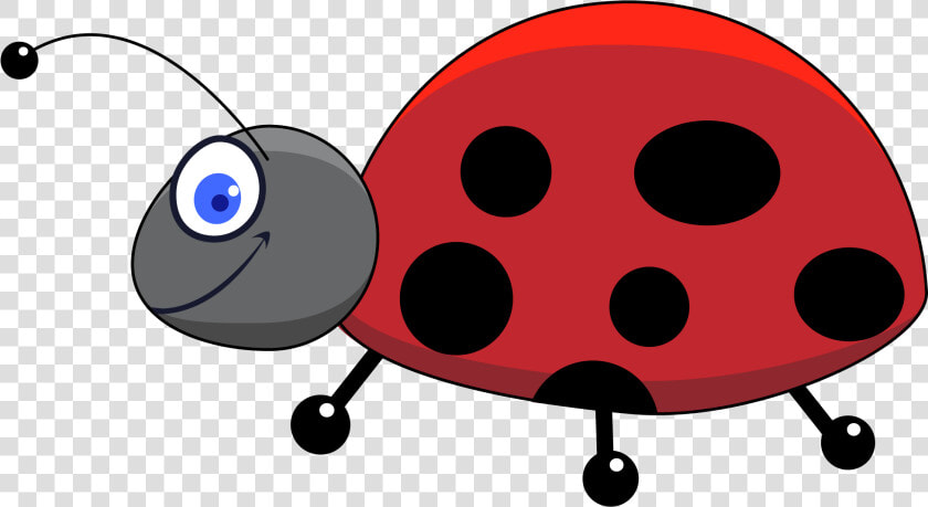 Transparent Ladybug Clipart   Ladybug Insect Drawing  HD Png DownloadTransparent PNG
