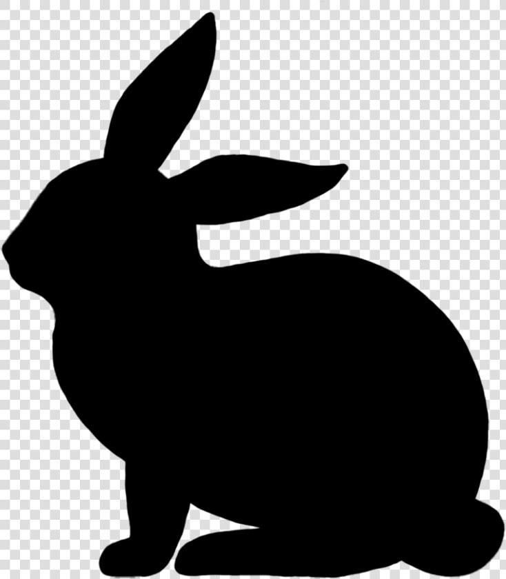 Easter Bunny Rabbit Illustration Vector Graphics Image   Rabbit Vector Png  Transparent PngTransparent PNG