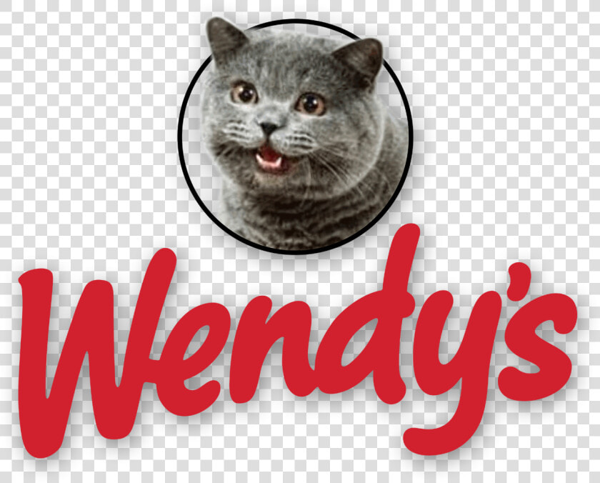 Wendy S Logo With Cheezburger Cat   Cat Eating At Wendy  39 s  HD Png DownloadTransparent PNG