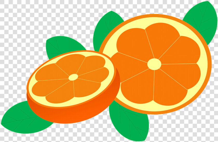 Clipart Jeruk   Background Jeruk Png  Transparent PngTransparent PNG