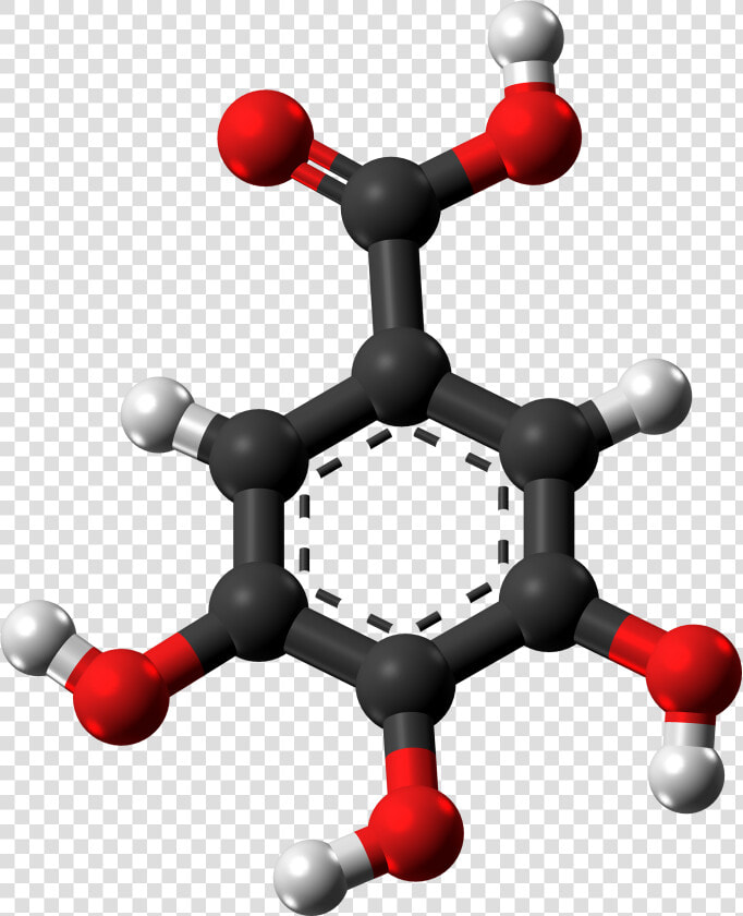 Gallic Acid Molecule Ball From Xtal   Toluène Définition  HD Png DownloadTransparent PNG