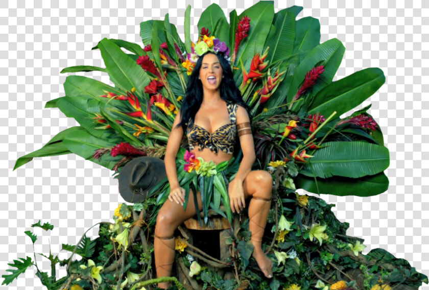 Katy Perry Roar Png   Katy Perry Roar  Transparent PngTransparent PNG