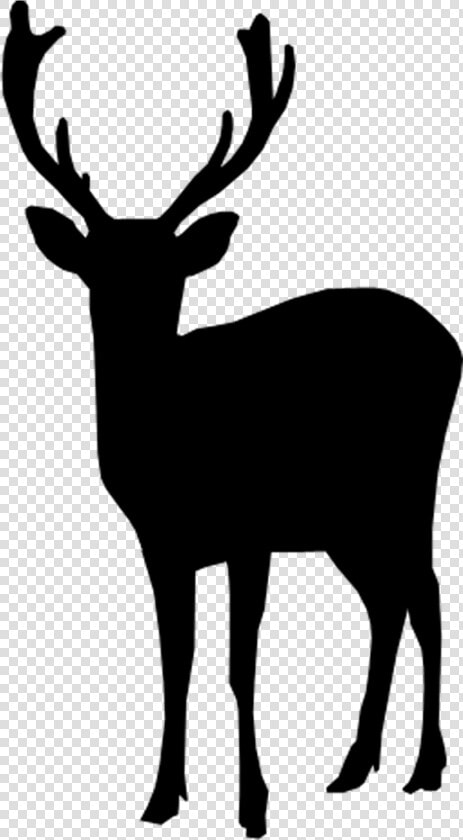 Deer Silhouette   Transparent Deer Silhouette  HD Png DownloadTransparent PNG