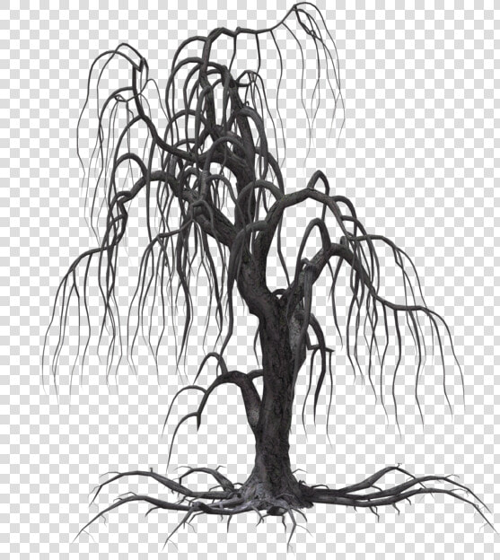 More Like Creepy Tree 11 By Wolverine041269   Creepy Tree Png  Transparent PngTransparent PNG
